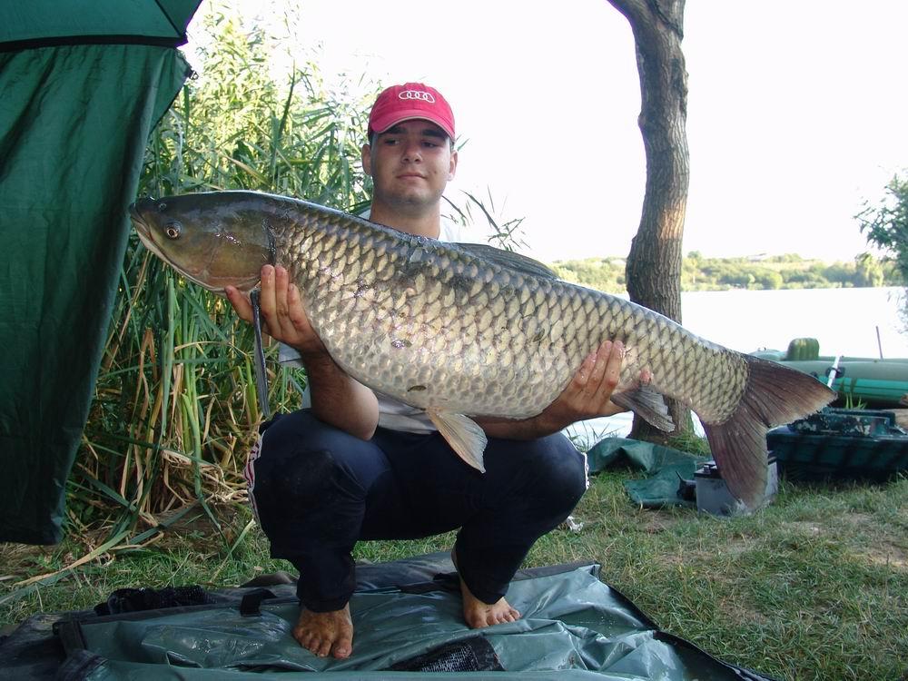 Somnmania ed a-IX-a - resize20of20dsc070402.JPG